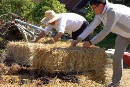 中国技术助力泰国农业发展