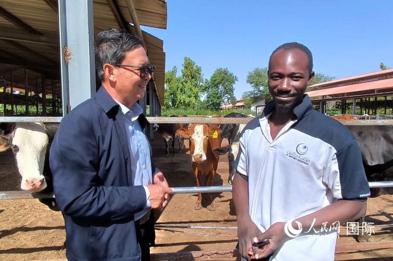 技术示范中心主任张洪恩正在向当地雇员讲解养牛注意事项 人民网记者黄培昭摄