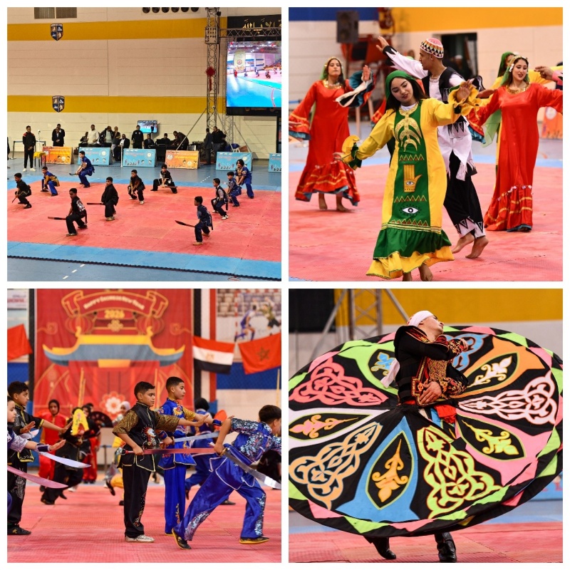 活动现场。照片均由开罗中国文化中心提供