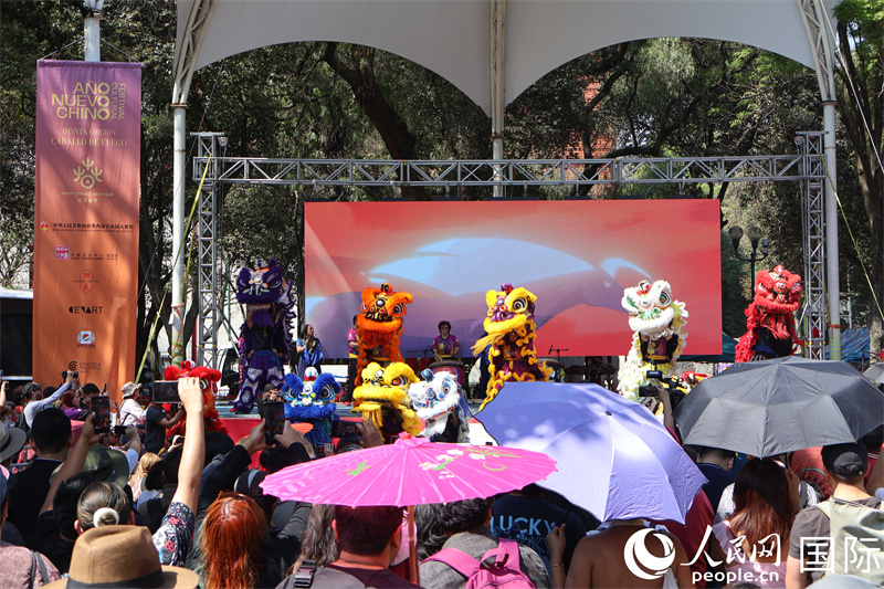 图片为活动现场。人民网 埃内斯托·多明戈斯摄