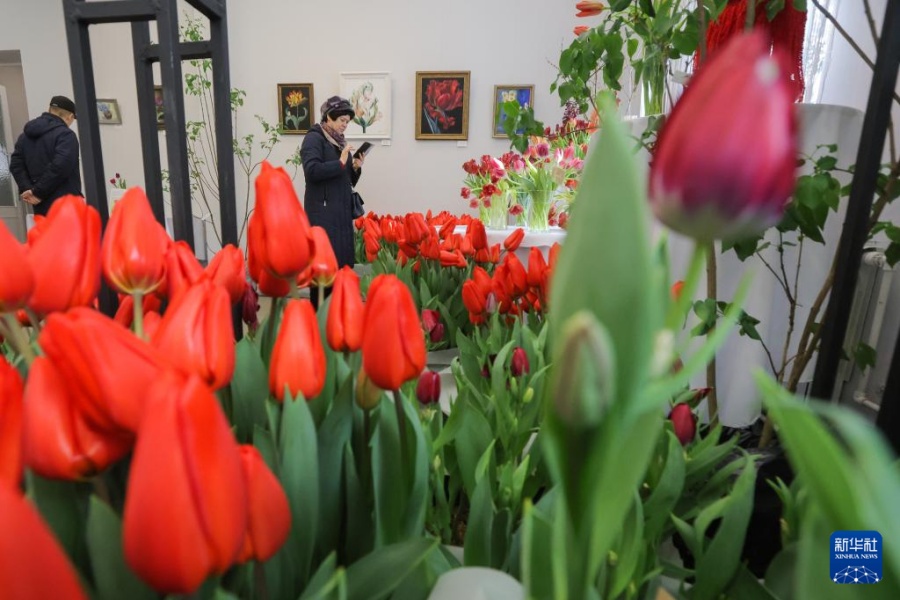 3月6日，人们在俄罗斯圣彼得堡市的彼得大帝植物园参观鲜花展。新华社发（莫京娜摄）