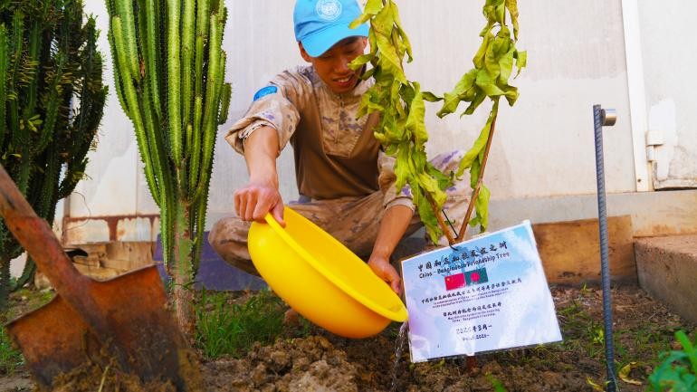 维和官兵栽种中孟友谊树苗。黄浩摄