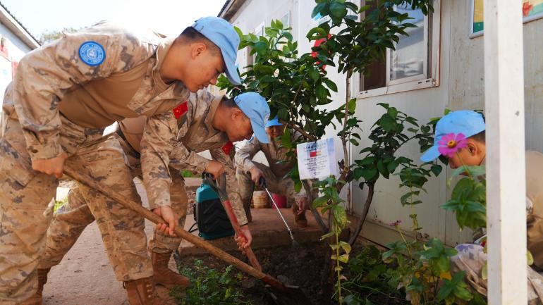维和官兵正在栽种中加友谊树苗。任玉航摄