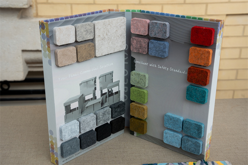 “中国绿色方案”集体亮相巴黎。 主办方供图 