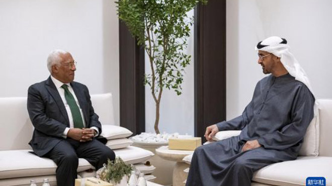 阿联酋总统与欧洲理事会主席讨论中东局势