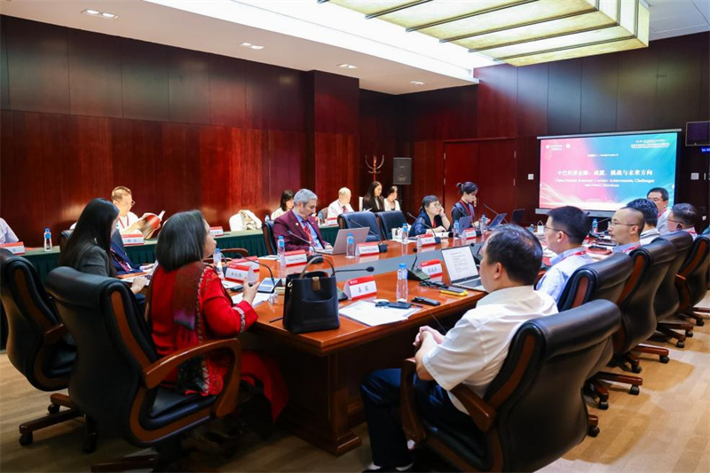 中巴两国嘉宾在分论坛上交流研讨。北京大学外国语学院供图