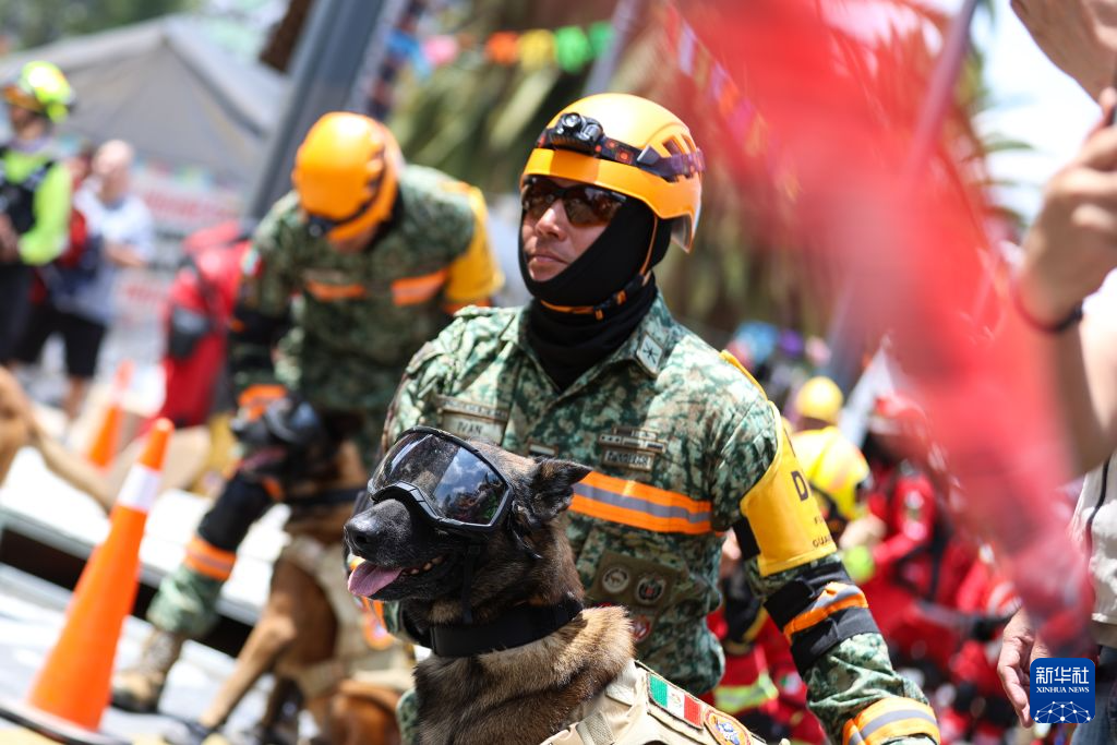 9月19日，救援人员和搜救犬在墨西哥首都墨西哥城参加地震演习。新华社发（弗朗西斯科·卡涅多摄）