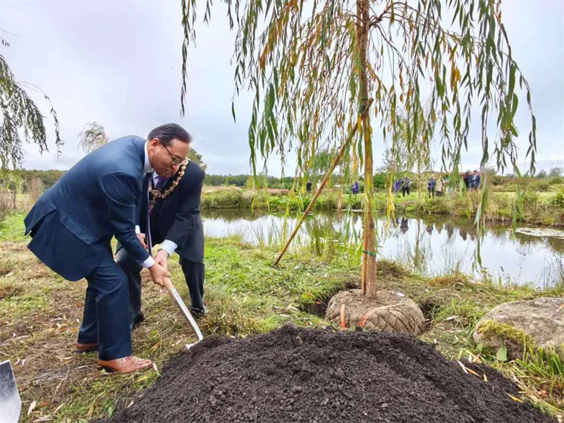 中英双方代表在开园仪式上共同种下一棵垂柳象征友谊。中国驻曼彻斯特总领馆供图