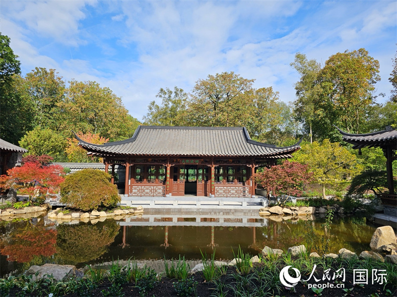 英国皇家园艺学会桥水花园畔溪中国花园实景。徐量摄