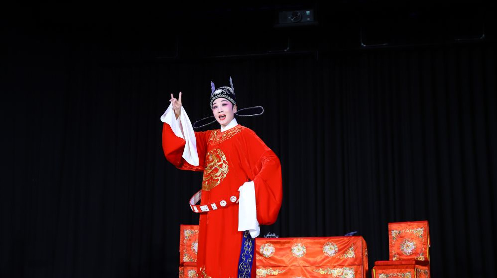 黄梅戏《女驸马》在德上演展现东方戏韵