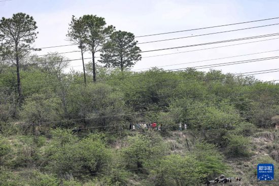 10月29日，在巴西里约热内卢的佩尼亚社区，调查人员在警方行动后展开搜查。新华社发（克劳迪娅·马尔提尼摄）