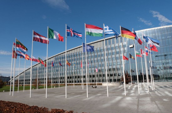 11月5日，在比利时首都布鲁塞尔，北约及成员国旗帜飘扬在北约总部外。 新华社记者 张兆卿 摄