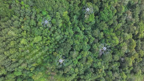 四台重载无人机联合吊运大件物资(无人机照片)。(南方电网供图)