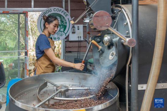 工作人员在老挝占巴塞省一处咖啡种植园烘焙咖啡豆（2025年12月17日摄）。新华社发（凯乔摄）