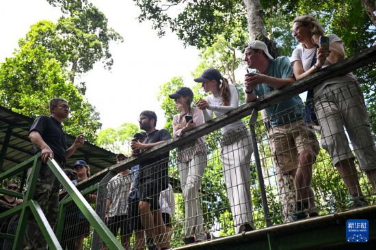 1月19日，在马来西亚沙巴州东海岸城市山打根郊外的婆罗洲马来熊保育中心，中心创始人兼首席执行官黄修德给游客介绍马来熊的习性。新华社记者 程一恒 摄