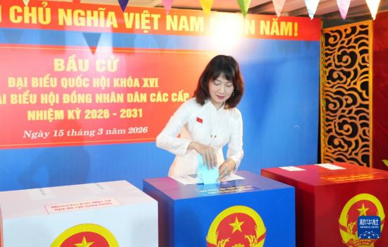 3月15日,选民在越南胡志明市参加投票。新华社/越通社